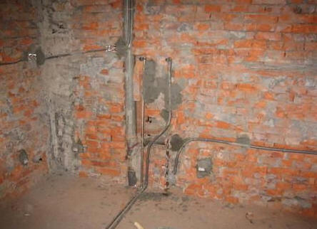 �x�����q�u�{